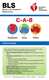 cover image for IVE BLS Digital Reference Card, International English