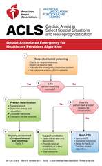 IVE ACLS Digital Reference Cards